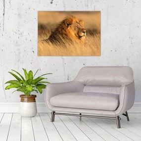 Sklenený obraz - Národný park Etosha (70x50 cm)