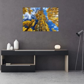 Obraz - Aspen (90x60 cm)