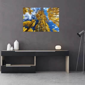 Obraz - Aspen (90x60 cm)