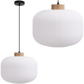 Toolight Toolight, stropné svietidlo zo skla 1xE27, biela, OSW-04412
