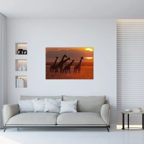 Obraz - Žirafy v africkej savane (90x60 cm)