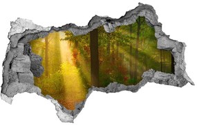 Nálepka fototapeta 3D výhľad Forest na slnku nd-b-75879040