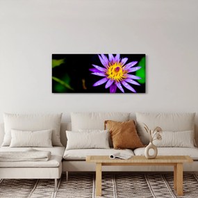 Obraz kvetu (120x50 cm)
