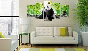 Artgeist Obraz - Sweet Little Panda Veľkosť: 100x50, Verzia: Premium Print