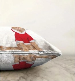 Obliečka na vankúš s vianočným motívom 43x43 cm – Mila Home
