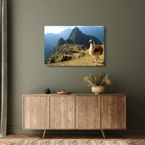 Obrázok - Lama a Machu Picchu (90x60 cm)