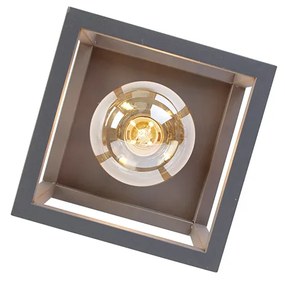 Priemyselné inteligentné stropné svietidlo tmavosivé vrátane Wifi G95 - Cage