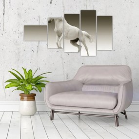 Obrazy bieleho koňa