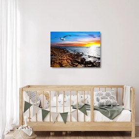 Sklenený obraz - Čajka letiaca nad pobrežím (70x50 cm)