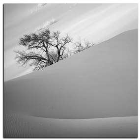 Obraz na plátne - Červené piesočné duny - štvorec 3133QA (80x80 cm)