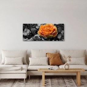 Obraz kvetu (120x50 cm)