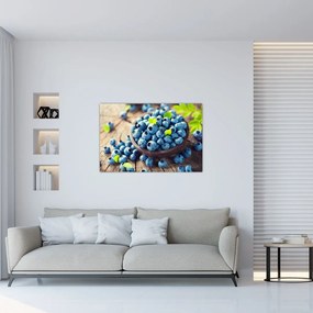 Obraz - Čučoriedky (90x60 cm)