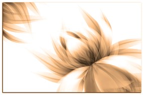 Obraz na plátne - Elegantný kvet 1147FA (75x50 cm)