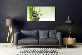 Skleneny obraz Bambus tráva rastlina príroda 125x50 cm