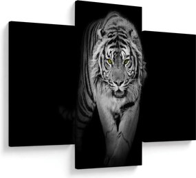 Obraz - Tiger so žltými očami (90x60 cm)