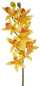 Dekoratívna kvetina 76cm, s kvetmi 31 cm, priemer kvetu 10 cm, žltá