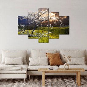 Obraz - Rozkvitnutý strom v krajine (150x105 cm)