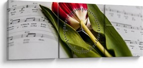 Obraz červeného tulipánu (s hodinami) (90x30 cm)
