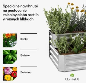 Blumfeldt High Grow vyvýšený záhon, 2 úrovne, odolný voči poveternostným vplyvom, odolný voči korózii, robustný, 405 L