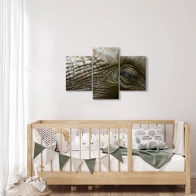Obraz - Detailné fotografie starého slonieho oka (90x60 cm)