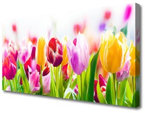 Obraz na plátne Tulipány kvety 140x70 cm