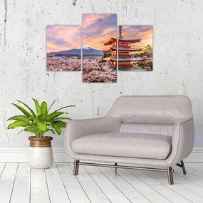 Obraz - Fuji (90x60 cm)