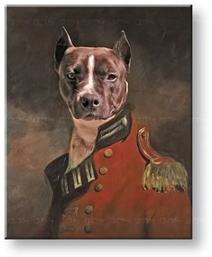 Obraz z fotky na plátne Generál_4 – 75x90 cm | rôzne uniformy