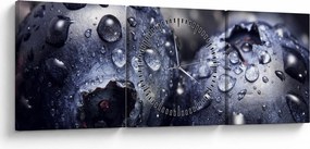 Obraz ovocia s kvapkami vody (s hodinami) (90x30 cm)