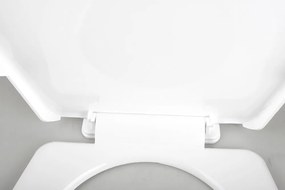 Aqualine Aqualine, REGINA WC sedátko, biela, 3551