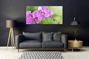 Obraz plexi Vstavač orchidea kvety 120x60 cm