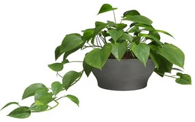 Kvetináč z terakoty ø 23 cm Saramago – Artevasi