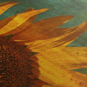 Obraz - Slnečnica (90x60 cm)