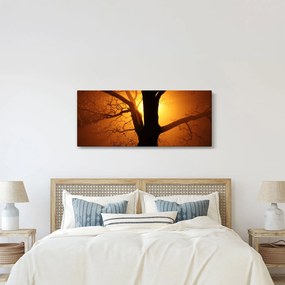 Obraz stromu pri západe slnka (120x50 cm)