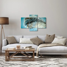 Obraz pierka (90x60 cm)