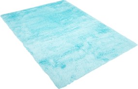 TA Koberec MODRÉ VTÁČIE PIERKO