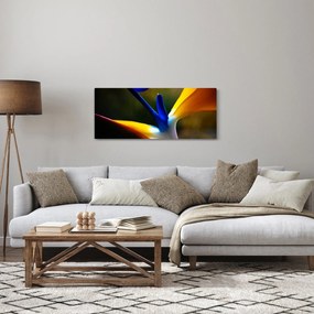 Obraz - Exotický kvet (120x50 cm)