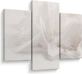 Obraz - Perie (90x60 cm)
