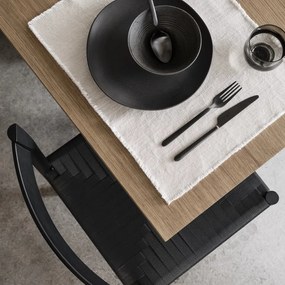 Látkové prestieranie 35x45 cm Lineo – Blomus