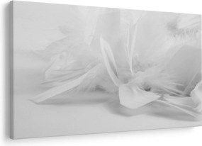 Obraz - Perie (90x60 cm)
