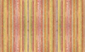 Fototapeta - Textúra - Farebná doska (152,5x104 cm)