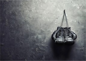 Sklenený obraz boxerských rukavíc (70x50 cm)