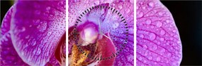 Detailný obraz kvetu orchidey (s hodinami) (90x30 cm)