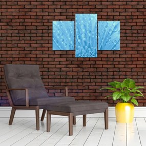Obraz - Makro záber kvetu (90x60 cm)