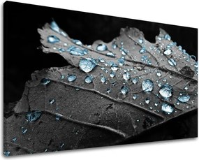 Obraz na stenu RASTLINY RA006E11