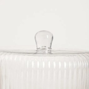 Podnos s vekom BARDO priehľadný 763274