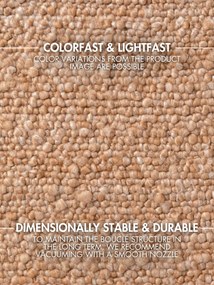 Ted Baker, Behúň Ted Baker Notting Hill 106344 Beige, 80x200, hnedá, obývacia izba