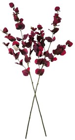 Sada jesenných vetvičiek eukalyptu, 95 cm, 2 ks