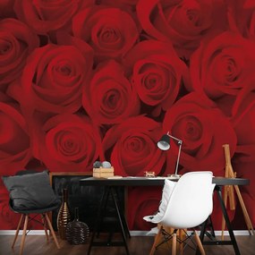 Fototapeta - Ruže (152,5x104 cm)