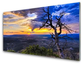 Skleneny obraz Strom zápas slnko 125x50 cm