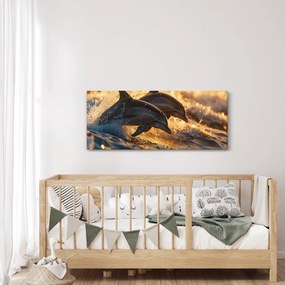 Obraz - Delfíny (120x50 cm)